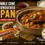 History of Japanese Curry Cubes – The Youtube Internet Phenomena